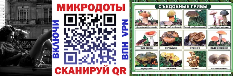 Галлюциногенные грибы Psilocybe  наркотики  mega маркетплейс  Ессентукская 